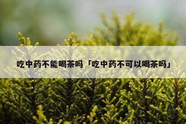 吃中药不能喝茶吗「吃中药不可以喝茶吗」