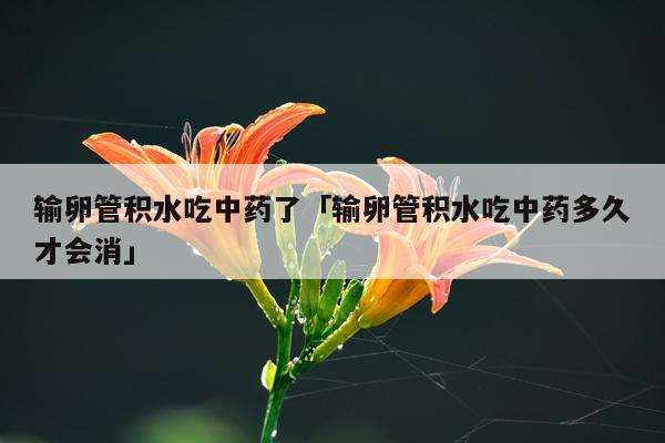 输卵管积水吃中药了「输卵管积水吃中药多久才会消」