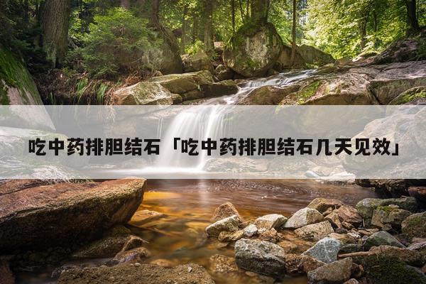 吃中药排胆结石「吃中药排胆结石几天见效」