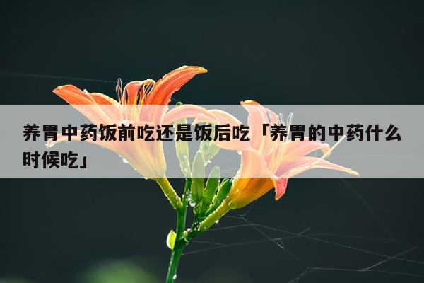 养胃中药饭前吃还是饭后吃「养胃的中药什么时候吃」