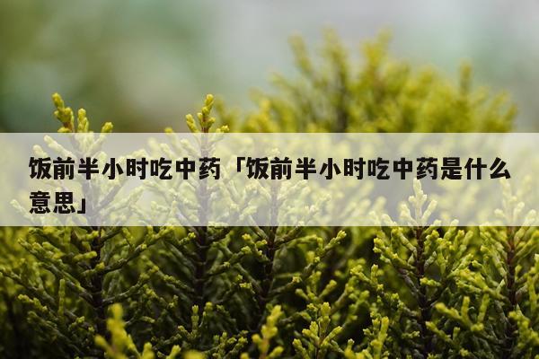 饭前半小时吃中药「饭前半小时吃中药是什么意思」