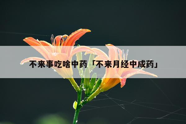 不来事吃啥中药「不来月经中成药」