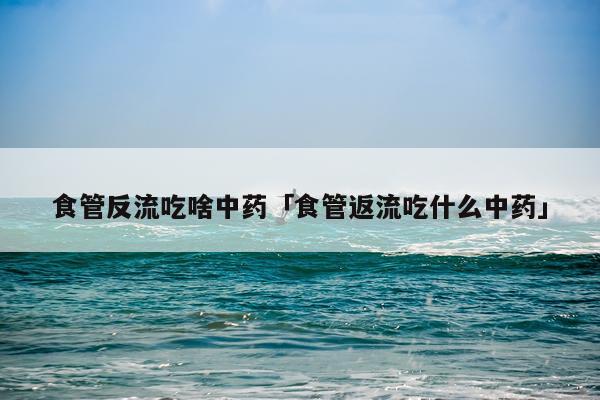 食管反流吃啥中药「食管返流吃什么中药」