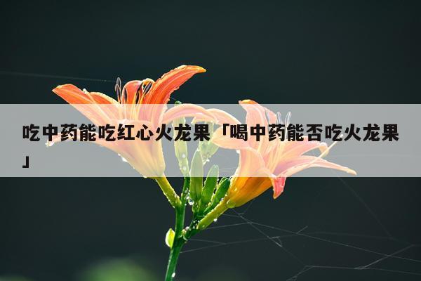 吃中药能吃红心火龙果「喝中药能否吃火龙果」