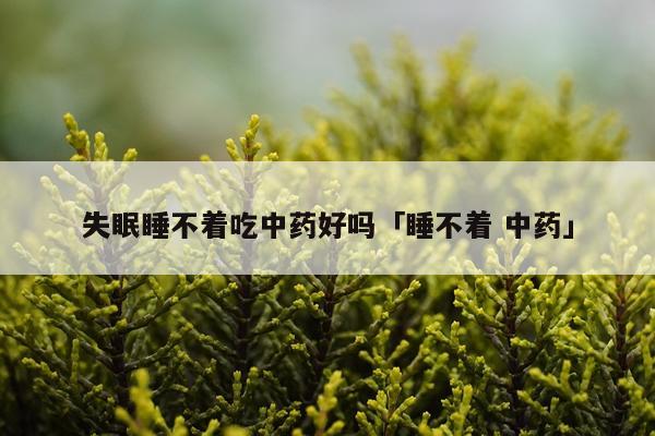 失眠睡不着吃中药好吗「睡不着 中药」