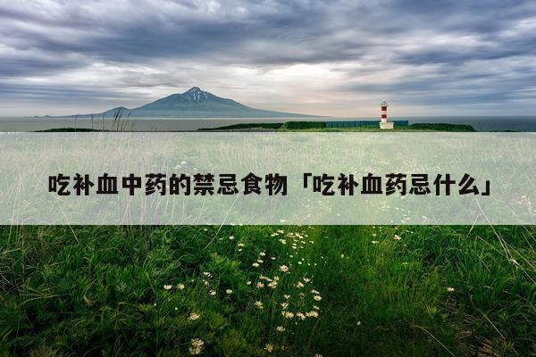 吃补血中药的禁忌食物「吃补血药忌什么」