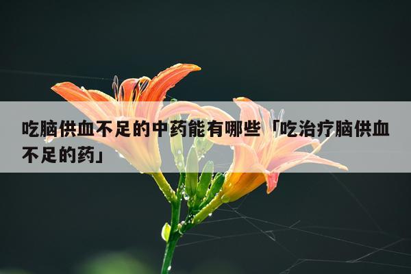 吃脑供血不足的中药能有哪些「吃治疗脑供血不足的药」