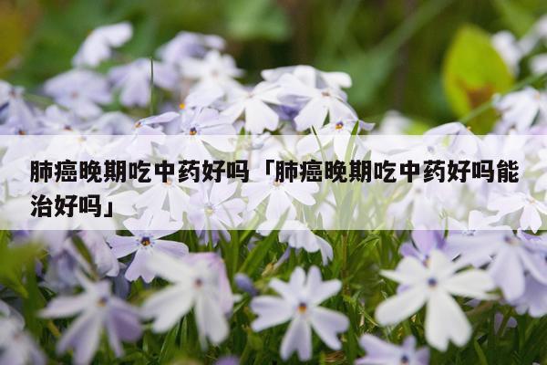 肺癌晚期吃中药好吗「肺癌晚期吃中药好吗能治好吗」