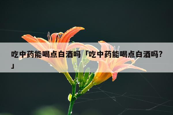 吃中药能喝点白酒吗「吃中药能喝点白酒吗?」