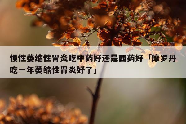 慢性萎缩性胃炎吃中药好还是西药好「摩罗丹吃一年萎缩性胃炎好了」