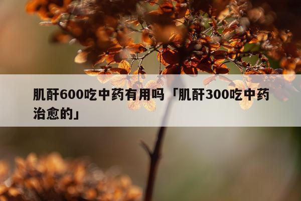 肌酐600吃中药有用吗「肌酐300吃中药治愈的」