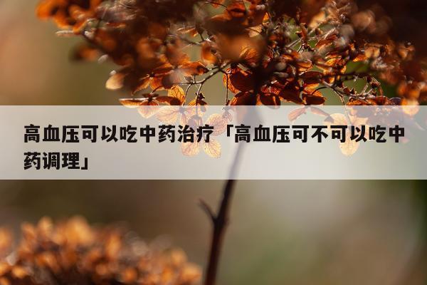 高血压可以吃中药治疗「高血压可不可以吃中药调理」