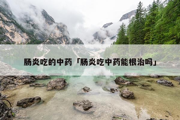 肠炎吃的中药「肠炎吃中药能根治吗」