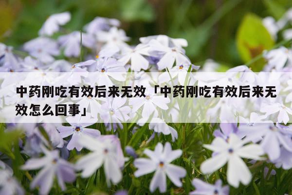 中药刚吃有效后来无效「中药刚吃有效后来无效怎么回事」