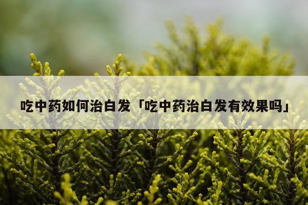 吃中药如何治白发「吃中药治白发有效果吗」