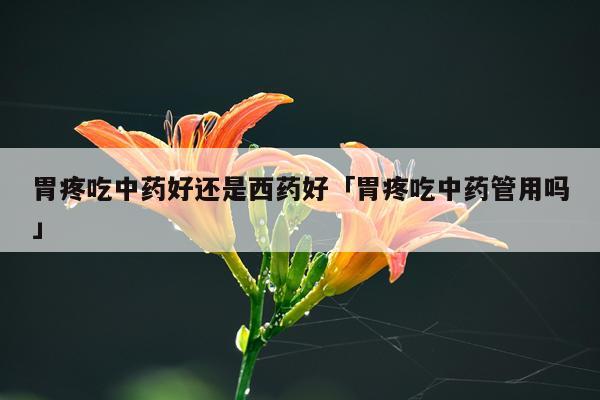 胃疼吃中药好还是西药好「胃疼吃中药管用吗」