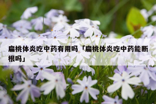 扁桃体炎吃中药有用吗「扁桃体炎吃中药能断根吗」