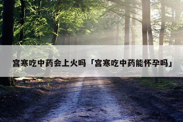 宫寒吃中药会上火吗「宫寒吃中药能怀孕吗」