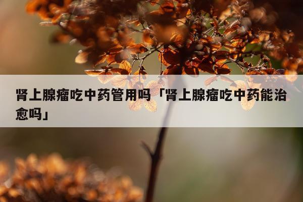 肾上腺瘤吃中药管用吗「肾上腺瘤吃中药能治愈吗」