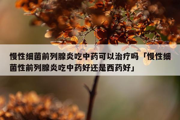慢性细菌前列腺炎吃中药可以治疗吗「慢性细菌性前列腺炎吃中药好还是西药好」