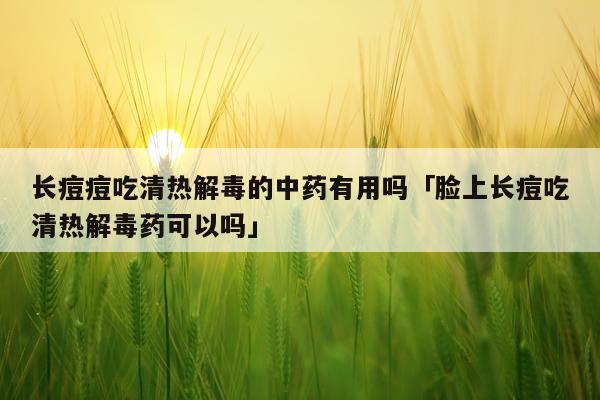 长痘痘吃清热解毒的中药有用吗「脸上长痘吃清热解毒药可以吗」