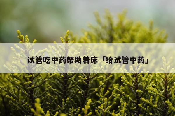 试管吃中药帮助着床「给试管中药」