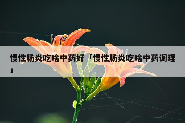 慢性肠炎吃啥中药好「慢性肠炎吃啥中药调理」
