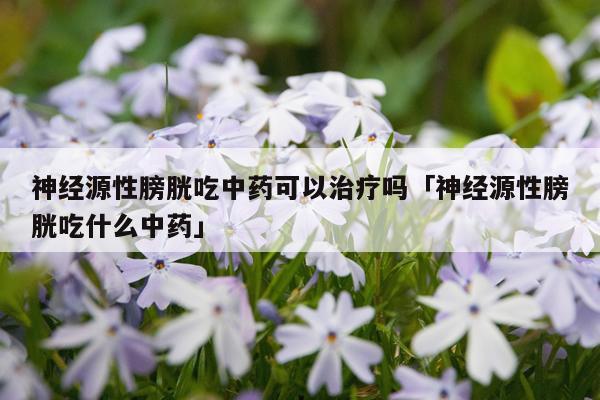 神经源性膀胱吃中药可以治疗吗「神经源性膀胱吃什么中药」