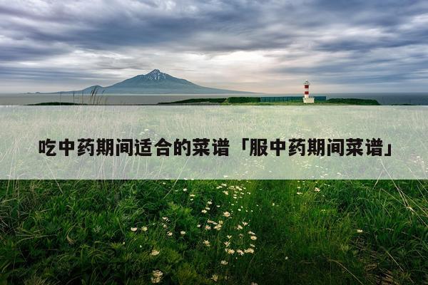 吃中药期间适合的菜谱「服中药期间菜谱」