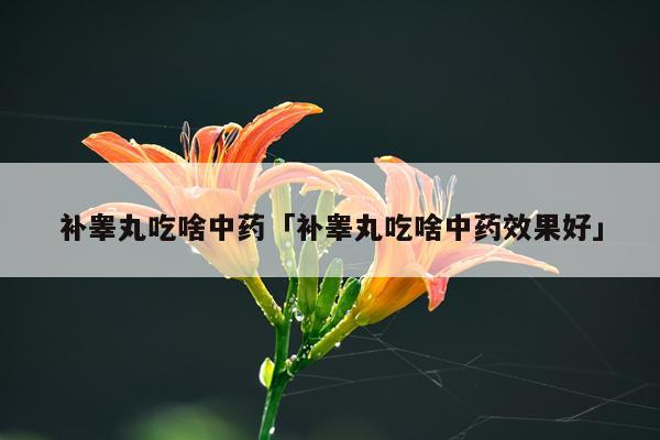 补睾丸吃啥中药「补睾丸吃啥中药效果好」
