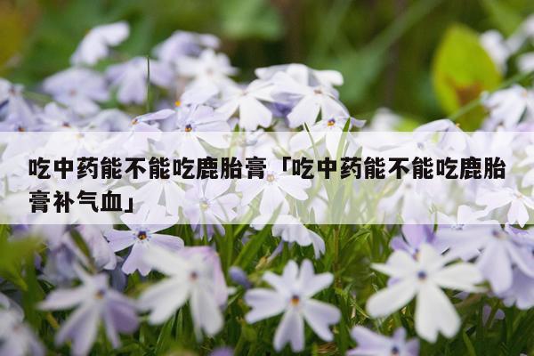 吃中药能不能吃鹿胎膏「吃中药能不能吃鹿胎膏补气血」