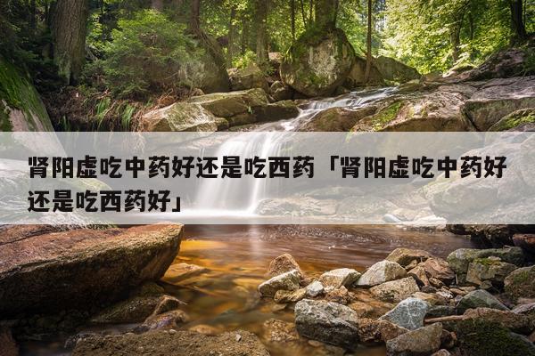 肾阳虚吃中药好还是吃西药「肾阳虚吃中药好还是吃西药好」
