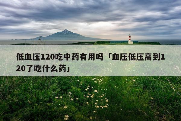 低血压120吃中药有用吗「血压低压高到120了吃什么药」