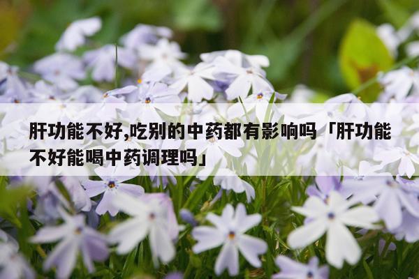 肝功能不好,吃别的中药都有影响吗「肝功能不好能喝中药调理吗」