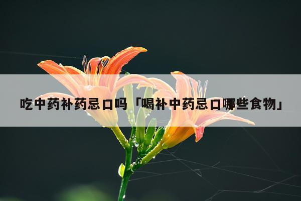 吃中药补药忌口吗「喝补中药忌口哪些食物」