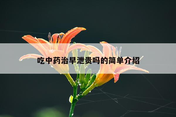 吃中药治早泄贵吗的简单介绍
