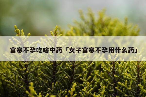 宫寒不孕吃啥中药「女子宫寒不孕用什么药」