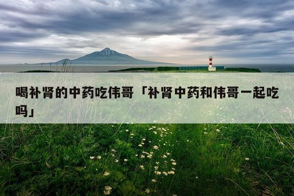 喝补肾的中药吃伟哥「补肾中药和伟哥一起吃吗」