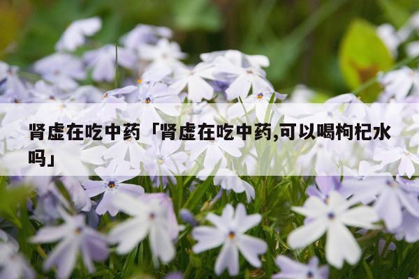 肾虚在吃中药「肾虚在吃中药,可以喝枸杞水吗」