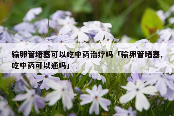 输卵管堵塞可以吃中药治疗吗「输卵管堵塞,吃中药可以通吗」