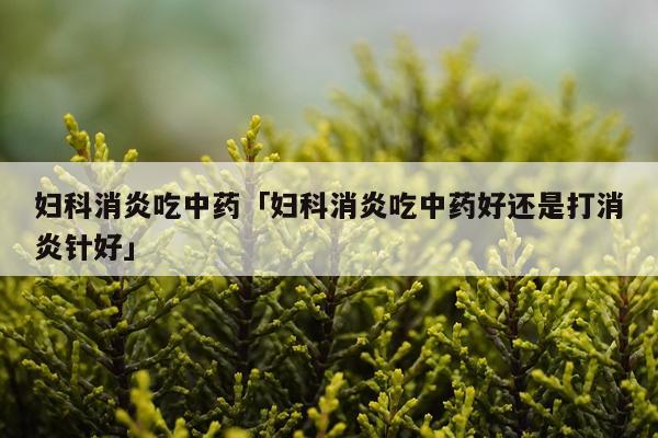 妇科消炎吃中药「妇科消炎吃中药好还是打消炎针好」
