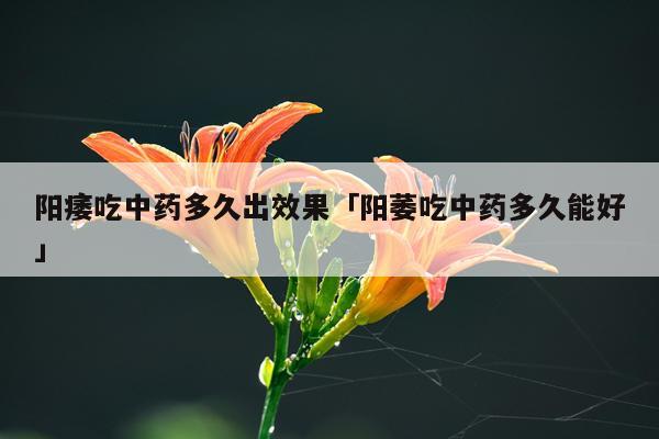 阳痿吃中药多久出效果「阳萎吃中药多久能好」