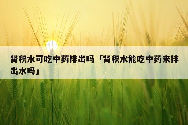 肾积水可吃中药排出吗「肾积水能吃中药来排出水吗」
