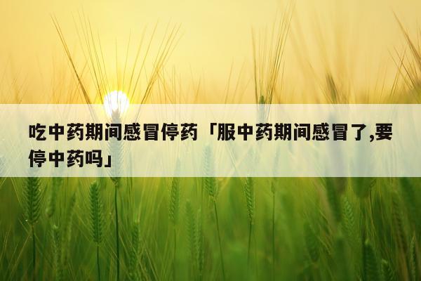 吃中药期间感冒停药「服中药期间感冒了,要停中药吗」