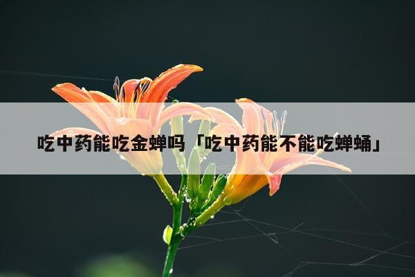 吃中药能吃金蝉吗「吃中药能不能吃蝉蛹」