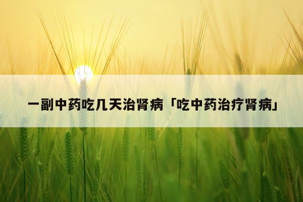 一副中药吃几天治肾病「吃中药治疗肾病」