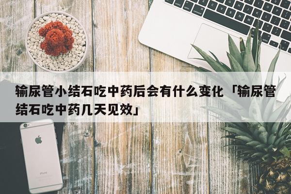 输尿管小结石吃中药后会有什么变化「输尿管结石吃中药几天见效」