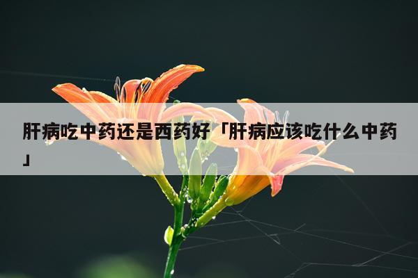 肝病吃中药还是西药好「肝病应该吃什么中药」