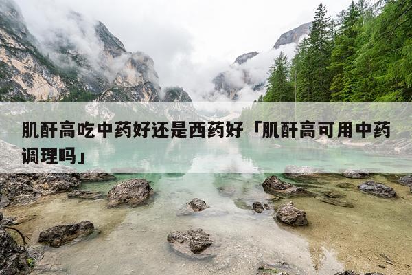 肌酐高吃中药好还是西药好「肌酐高可用中药调理吗」