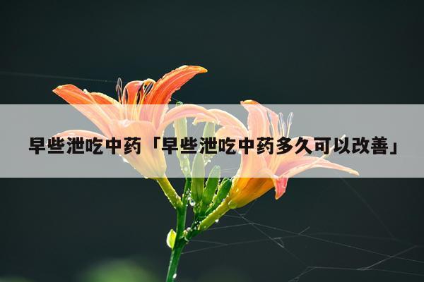 早些泄吃中药「早些泄吃中药多久可以改善」